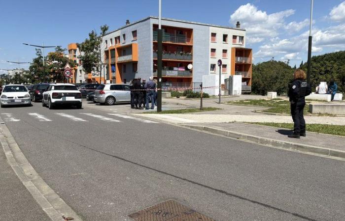 A young man found dead in the La Conte district in Carcassonne: an open investigation for murder entrusted to the judicial police in Perpignan