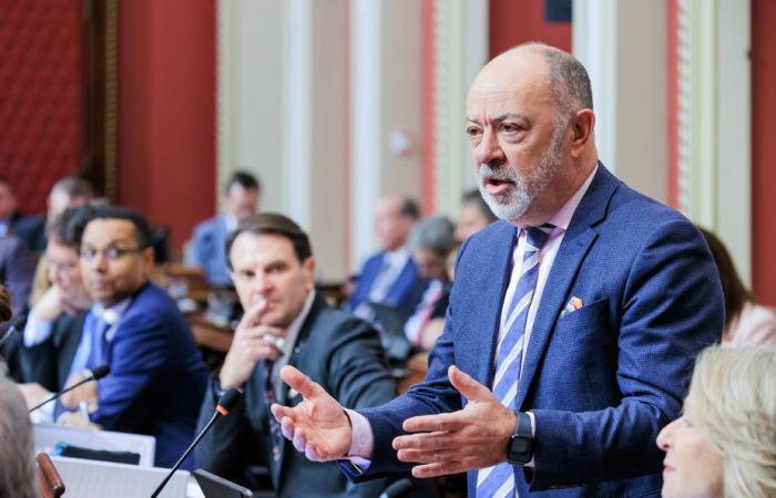 Doctors remuneration | Christian Dubé tables his bill