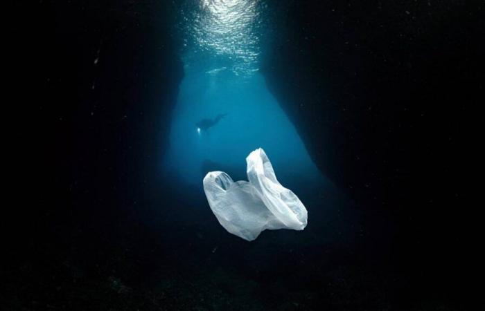 In video – in the oceans, rivers and genes: microplastics are everywhere