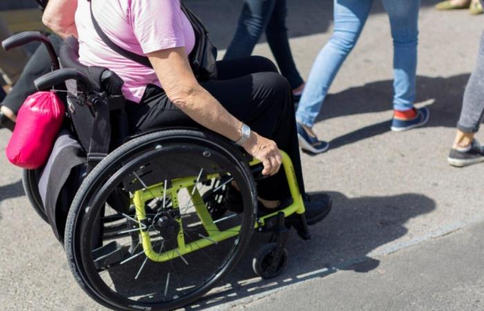 Bern: Simplified count for services related to a handicap