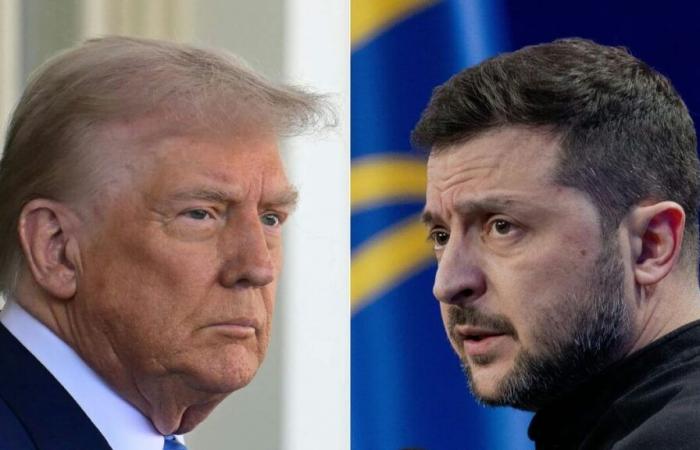 Trump-Zelensky call after Kyïv ratification of the mineral agreement