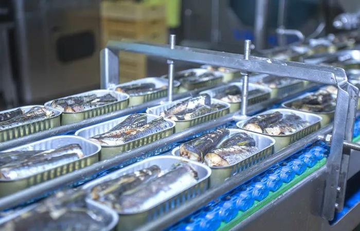 Enterest on prices: the competition council reveals a fabric of illicit practices in the industrial sardine market