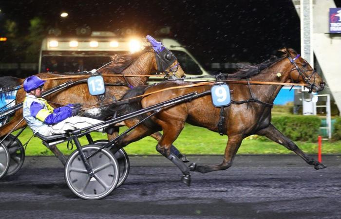 Iquem d’Amer has a good chance in the quinté+ on Friday