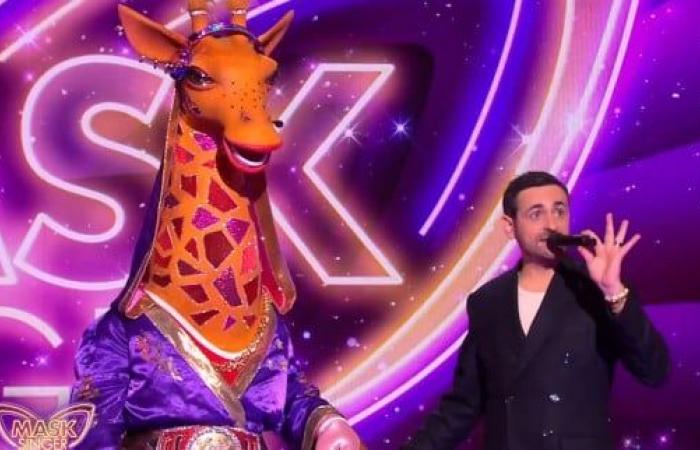 We unmasked the giraffe, she is a singer and actress!