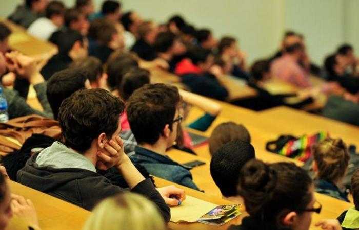 Advocacy for an effective reform of the public university