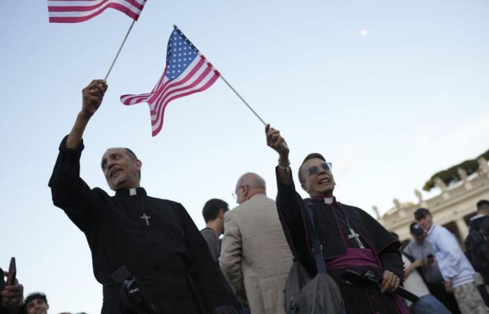 What role for Pope Leon Vix, the first pope from the United States?