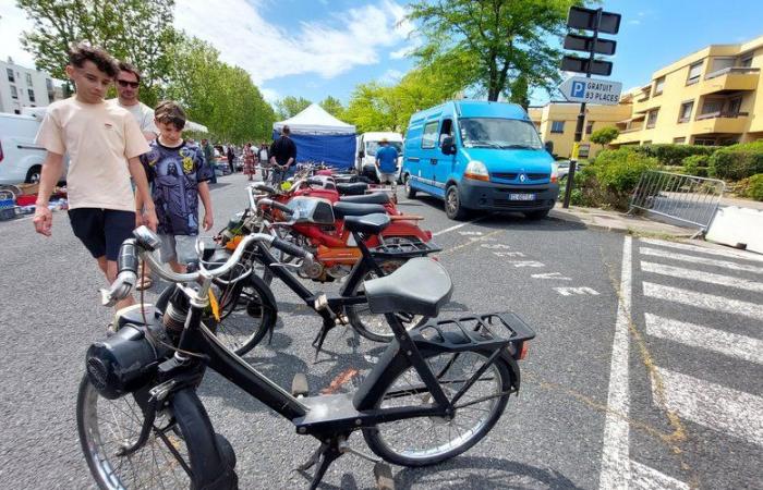 The 2nd Party Party for Autos Old Motorcycles of Narbonne on the wheel hats