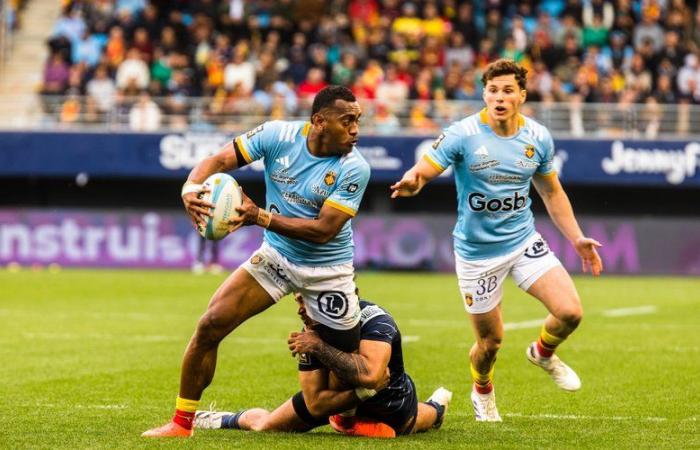 Top 14: Alivereti Duguivalu, Jake McIntyre and Jacobus Van Tonder in the USAP group for the hot reception of the Stade Français