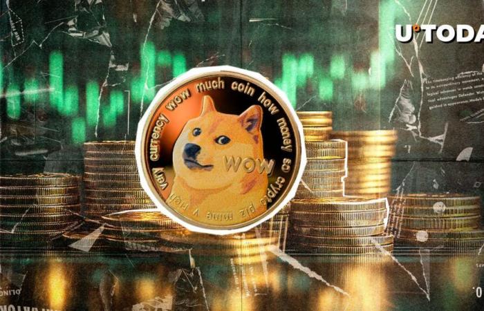 807,378,538 Dogecoin in One Minute, What’s Happening?