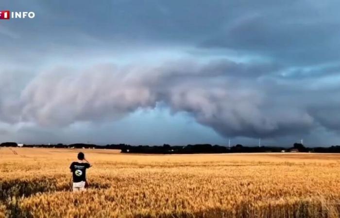 Redoux … and return of thunderstorms: here are the weather forecast for the weekend