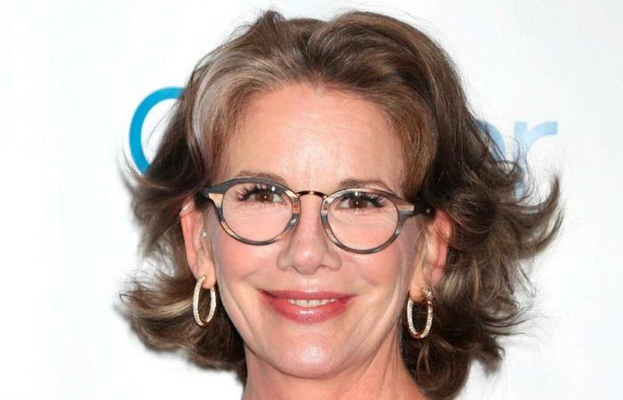 Melissa Gilbert reacts to the remake of “the little house in the meadow”