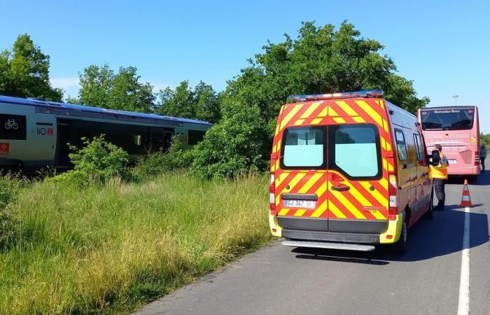 Info the depeche. Death of the rugby player of Castres Olympique Josaia Raisuqe in a road accident at a level crossing