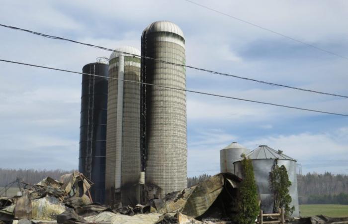 Solidarity momentum for the Dupotier farm
