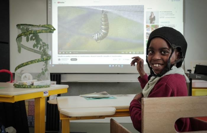 Geneva: Clair Bois schools open their doors to the public