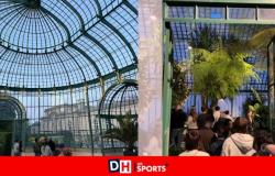 Victims of their success, the royal greenhouses are not unanimous with all visitors: “We are like in a human river”