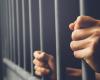 Alternative sentences: Ouahbi and Daki draw the contours of an ambitious criminal reform