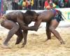 Senegal: the unequal fight of the traditional fight against business