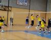 Mirande. 90 players gathered for the 17th Volleyball Gers Cup of the Gers Rural Home
