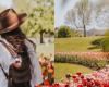 This huge tulip festival is the perfect reason to make a roadtrip in Ottawa