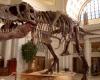 The first dinosaur leather bag will emerge, based on T-Rex DNA