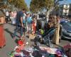 A plaster pomegranate bought 1 euro explodes in the hands of a 12 -year -old child on the Sète flea market
