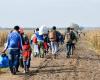After the fall of Assad, asylum requests at the lowest in the European Union