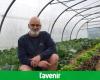 What future for the vegetable gardens of yesteryear, in Theux, prohibited from activity since Monday, May 5, 2025? “The number of offenses was important!” (photos)
