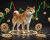 Prize analysis on May 5, 2025