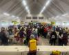 The mega sale of used books a new record