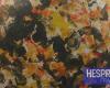 An exhibition reveals the talents of children with reduced mobility