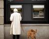 UBS: The largest Swiss bank is launching a free account