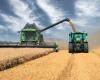 Favorable winds for short -term Moroccan wheat