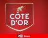 Côte d’Or and Lotus brands are launching a new product in partnership: “Two Belgian icons unite”