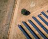 “The era of fossil growth is coming to an end”