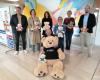 Traveler plush bears to harvest donations