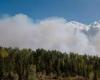 According to a study | Forest fire smoke increases emergency visits for asthma cases