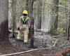 Important forest fire in the Marconi