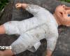 Infant in Aargau seriously injured: Parents are in court – News