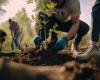 Island-Perrot is expanding its Earth Day event with an enriched formula
