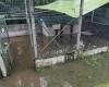 Thunderstorms does big damage in Lot-et-Garonne, rivers placed in raw vigilance