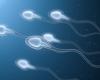 Health. A male contraceptive frost could make its arrival on the market