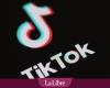 “It’s evil”: in Ghent, a Tiktok challenge degenerates and causes important damage