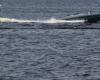Ukraine: the Magura V7, this naval drone which would have shot a Russian fighter plane for the first time