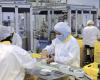 Labor market at T1-2025: main points of the HCP information note