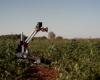 “Our mission is to reduce the technological gap that exists in agriculture on a planetary scale”