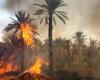 Disturbing resurgence of fires in the oases of Guelmim-Oued Noun