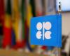 Raw materials: But why the OPEC+ draws prices down?
