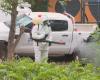 Race against the clock against Chikungunya, 98 cases detected in Mayotte