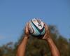 Niort Rugby Club bows to the championship final but can still get the climb