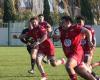 Rugby in the Aude (Federal 1): the Gruissanais rowing advocates stability with a new series of extensions, this time of first four lines